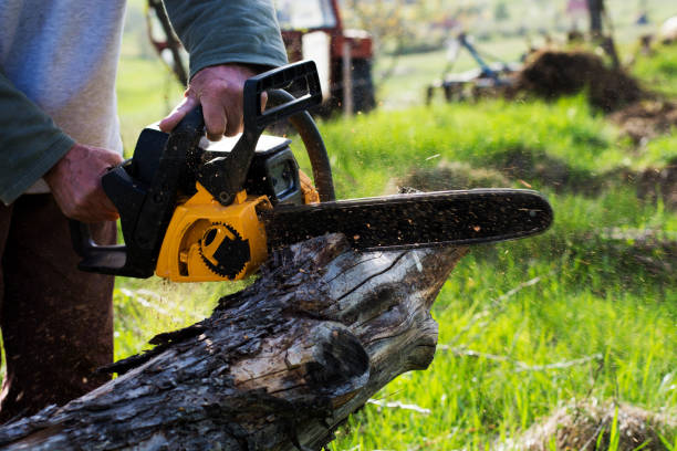 Mulching Services in Turtle Creek, PA